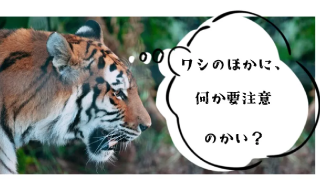 割と知られていない！春節連休の実施及び賃金支払いについての注意点