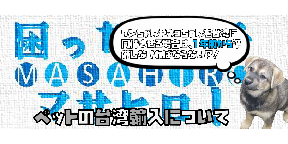 【マサレポ】ワンちゃんやネコちゃんを台湾に同伴させる場合は、1年前から準備しなければならない？！-ペットの台湾輸入について