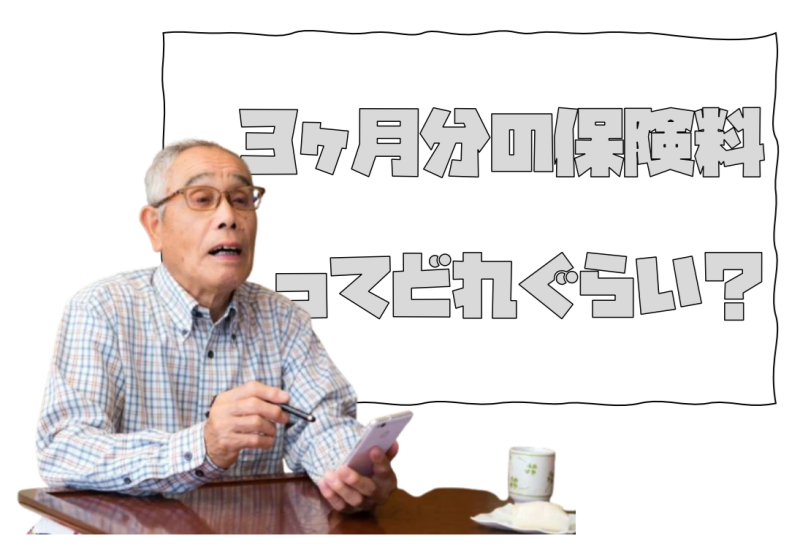 一度に莫大な保険料を徴収されることを回避する方法ってない？